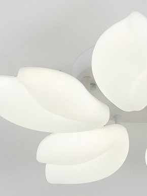 Потолочная люстра Natali Kovaltseva Effect LED LAMPS 81116 в Лесном - lesnoy.ok-mebel.com | фото 10