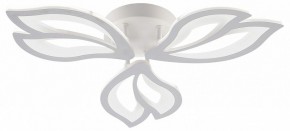 Потолочная люстра Natali Kovaltseva FORTUNA LED LAMPS 81107/2C в Лесном - lesnoy.ok-mebel.com | фото