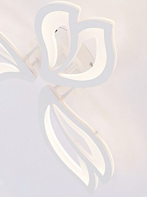 Потолочная люстра Natali Kovaltseva FORTUNA LED LAMPS 81107/2C в Лесном - lesnoy.ok-mebel.com | фото 11