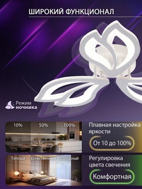 Потолочная люстра Natali Kovaltseva FORTUNA LED LAMPS 81107/2C в Лесном - lesnoy.ok-mebel.com | фото 5