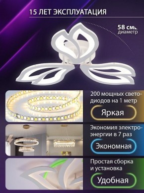 Потолочная люстра Natali Kovaltseva FORTUNA LED LAMPS 81107/2C в Лесном - lesnoy.ok-mebel.com | фото 6