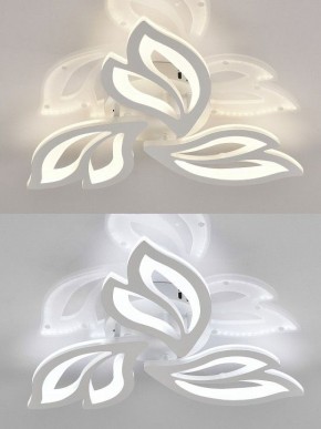 Потолочная люстра Natali Kovaltseva  LED LAMPS 81426 в Лесном - lesnoy.ok-mebel.com | фото 4