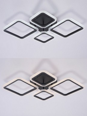 Потолочная люстра Natali Kovaltseva OPTI LED LAMPS 81108/2C в Лесном - lesnoy.ok-mebel.com | фото 4