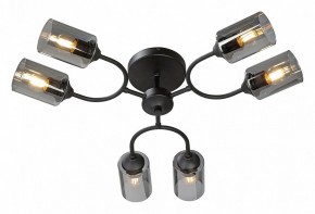 Потолочная люстра Vitaluce V2823 V2823-1/6PL в Лесном - lesnoy.ok-mebel.com | фото 2