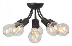 Потолочная люстра Vitaluce V3927 V3927-1/6PL в Лесном - lesnoy.ok-mebel.com | фото
