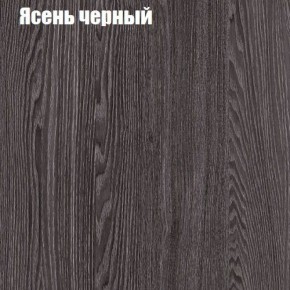 Прихожая ДИАНА-4 сек №10 (Ясень анкор/Дуб эльза) в Лесном - lesnoy.ok-mebel.com | фото 3