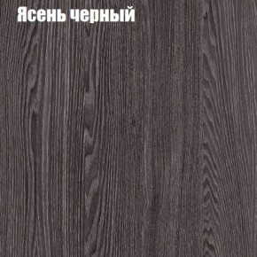 Прихожая ДИАНА-4 сек №3 (Ясень анкор/Дуб эльза) в Лесном - lesnoy.ok-mebel.com | фото 3