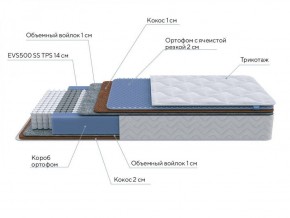 PROxSON Матрас Active Duo M/F (Ткань Трикотаж Эко) 160x190 в Лесном - lesnoy.ok-mebel.com | фото 7