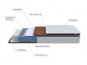 PROxSON Матрас Active F Roll (Ткань Трикотаж Эко) 120x190 в Лесном - lesnoy.ok-mebel.com | фото 7