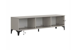 РИЧ Тумба 2 в Лесном - lesnoy.ok-mebel.com | фото 3