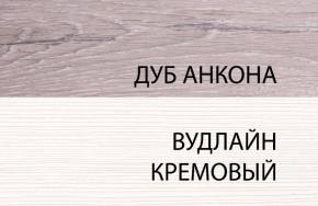 Шкаф 1DZ, OLIVIA, цвет вудлайн крем/дуб анкона в Лесном - lesnoy.ok-mebel.com | фото 3