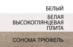 Шкаф 2D/TYP 20A, LINATE ,цвет белый/сонома трюфель в Лесном - lesnoy.ok-mebel.com | фото 4