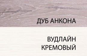 Шкаф 2DG, OLIVIA, цвет вудлайн крем/дуб анкона в Лесном - lesnoy.ok-mebel.com | фото 3