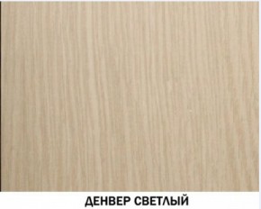 Шкаф для одежды №609 "Инна" Денвер светлый (*без полок) в Лесном - lesnoy.ok-mebel.com | фото 4