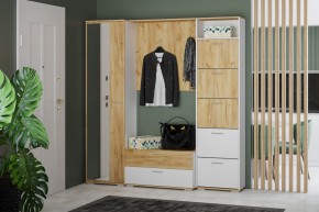 Шкаф для одежды НМ 013.40 "Санти" (Белый/Крафт Золотой) в Лесном - lesnoy.ok-mebel.com | фото 3