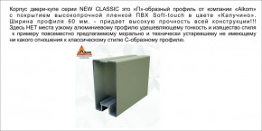 Шкаф-купе 1500 серии NEW CLASSIC K3+K3+B2+PL1 (2 ящика+1 штанга) профиль «Капучино» в Лесном - lesnoy.ok-mebel.com | фото 5