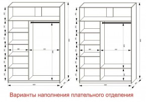 Шкаф-купе 1600 серии SOFT D1+D3+B2+PL1 (2 ящика+1штанга) профиль «Графит» в Лесном - lesnoy.ok-mebel.com | фото 6