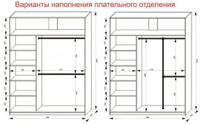 Шкаф-купе 1800 серии SOFT D8+D2+B2+PL4 (2 ящика+F обр.штанга) профиль «Графит» в Лесном - lesnoy.ok-mebel.com | фото 8