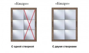 Шкаф-купе №19 Серия 3 Квадро (1700) Ясень Анкор светлый в Лесном - lesnoy.ok-mebel.com | фото 3