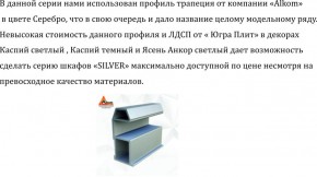 Шкаф-купе 2250 серии SILVER S3+S1+S4 B22+PL3 (по 2 ящика лев/прав+2 штанги) профиль «Серебро» в Лесном - lesnoy.ok-mebel.com | фото 4