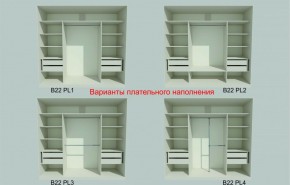 Шкаф-купе 2450 серии NEW CLASSIC K6Z+K1+K6+B22+PL2 (по 2 ящика лев/прав+1 штанга+1 полка) профиль «Капучино» в Лесном - lesnoy.ok-mebel.com | фото 6