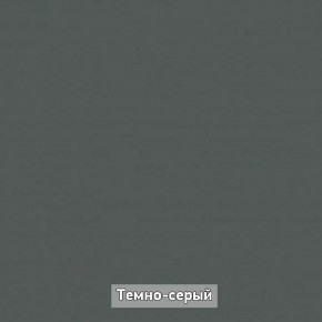 Шкаф купе без зеркала "Ольга-Лофт 10.1" в Лесном - lesnoy.ok-mebel.com | фото 7
