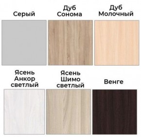 Шкаф-купе ХИТ 22-4-12/2-77 (420) в Лесном - lesnoy.ok-mebel.com | фото 3