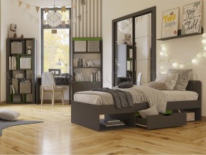 НЕАПОЛЬ Шкаф-купе (Графит) в Лесном - lesnoy.ok-mebel.com | фото 3