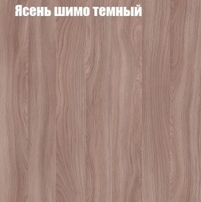 Шкаф-купе «ТАНДЕМ» 2-х дверный в алюминиевом профиле (Дверь ЛДСП+Z) 1400/h2200 в Лесном - lesnoy.ok-mebel.com | фото 7