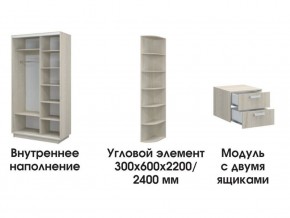 Шкаф-купе «ТАНДЕМ» 2-х дверный в алюминиевом профиле (Дверь Z+Z) 1400/h2200 в Лесном - lesnoy.ok-mebel.com | фото 8