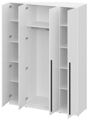 Шкаф платяной Бирма в Лесном - lesnoy.ok-mebel.com | фото 3