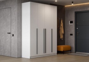 Шкаф платяной Бирма в Лесном - lesnoy.ok-mebel.com | фото 5
