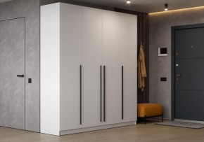 Шкаф платяной Бирма в Лесном - lesnoy.ok-mebel.com | фото 4