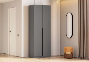 Шкаф платяной Даиго в Лесном - lesnoy.ok-mebel.com | фото 3