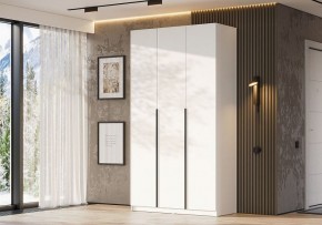 Шкаф платяной Даиго в Лесном - lesnoy.ok-mebel.com | фото 3