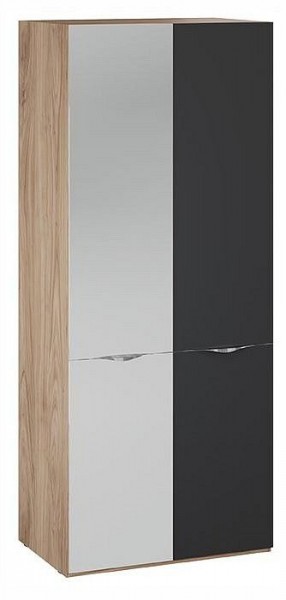 Шкаф платяной Глосс СМ-319.07.005 в Лесном - lesnoy.ok-mebel.com | фото