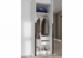 Шкаф платяной Широн в Лесном - lesnoy.ok-mebel.com | фото 3