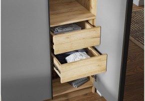 Шкаф платяной Широн в Лесном - lesnoy.ok-mebel.com | фото 3