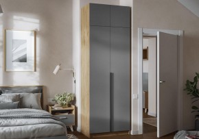 Шкаф платяной Широн в Лесном - lesnoy.ok-mebel.com | фото 4