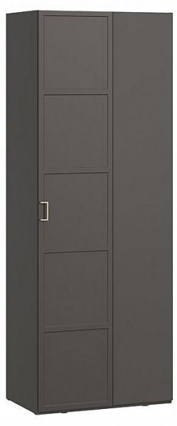 Шкаф платяной Стелла в Лесном - lesnoy.ok-mebel.com | фото