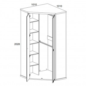 Шкаф угловой 2D, MAGELLAN, цвет Сосна винтаж в Лесном - lesnoy.ok-mebel.com | фото 2