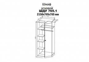 KI-KI ШДУ765.1 Шкаф угловой (белый/белое дерево) в Лесном - lesnoy.ok-mebel.com | фото 2