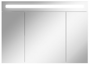 Шкаф-зеркало Аврора 100 с подсветкой LED Домино (DV8012HZ) в Лесном - lesnoy.ok-mebel.com | фото