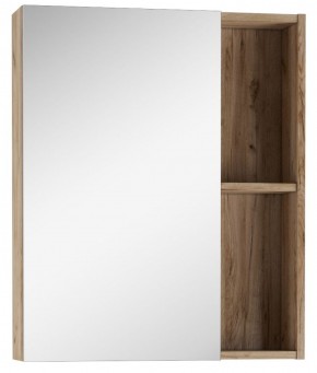 Шкаф-зеркало Craft 60 левый/правый Домино (DCr2203HZ) в Лесном - lesnoy.ok-mebel.com | фото
