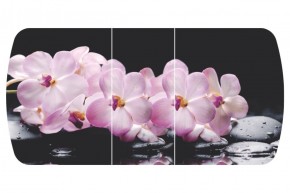 Стол Бостон-3 (Розовая Орхидея) 1100/1420*700, опора Брифинг в Лесном - lesnoy.ok-mebel.com | фото 2