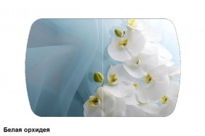 Стол Бостон 900*600 (опоры Брифинг) Стекло/фотопечать Белая Орхидея в Лесном - lesnoy.ok-mebel.com | фото