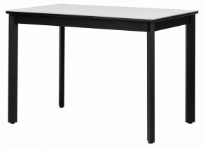 Стол обеденный Айлин 2Р в Лесном - lesnoy.ok-mebel.com | фото