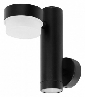 Светильник на штанге Arte Lamp Budapest A2362AL-2BK в Лесном - lesnoy.ok-mebel.com | фото