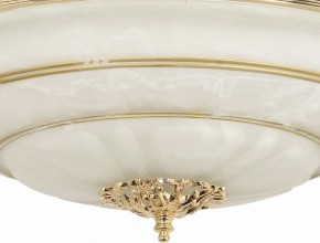 Светильник на штанге Arti Lampadari Pavia Pavia E 1.13.P40 G в Лесном - lesnoy.ok-mebel.com | фото 3