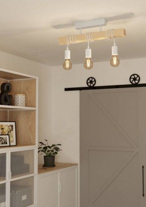 Светильник на штанге Eglo TOWNSHEND 44082 в Лесном - lesnoy.ok-mebel.com | фото 2